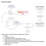 FHIR Query & Anonymization
